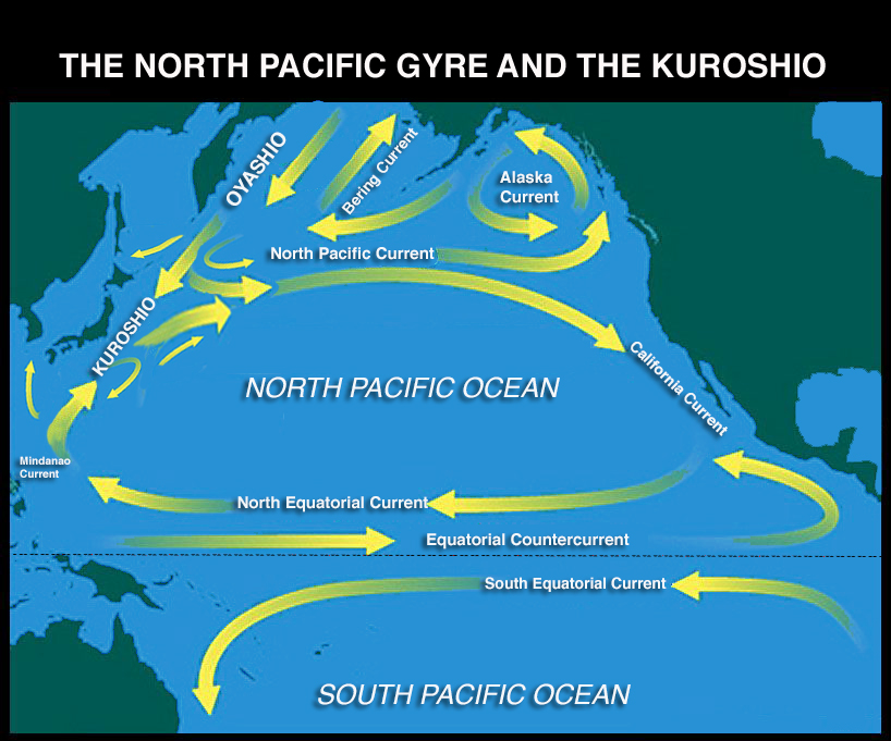 THE NORTH PACIFIC GYRE AND THE KUROSHIO