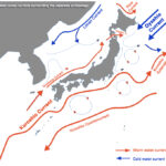 MAIN CURRENTS OF JAPAN