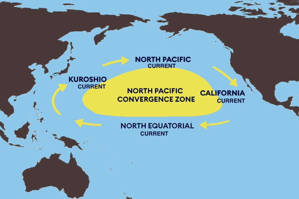THE NORTH PACIFIC GYRE AND CONVERGENCE ZONE